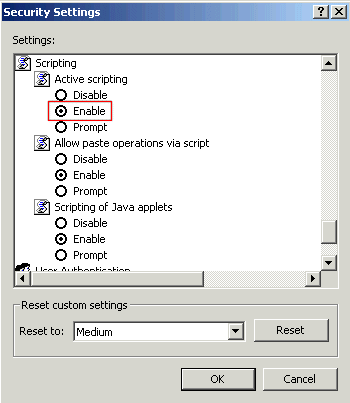Internet Explorer: activate JavaScript